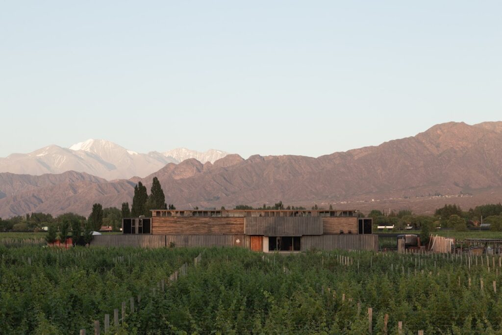 La Bodega Maal Wine se desarrollo a partir de materiales reciclados.