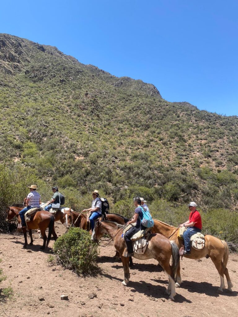 Grupo de amigos disfrutando de una travesia por la montaña mendocina.