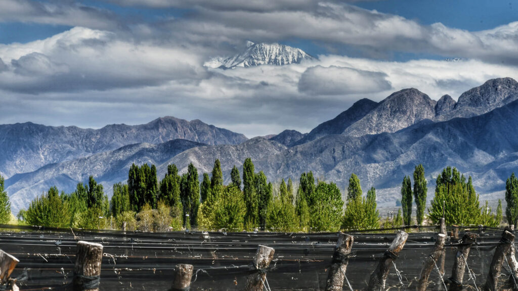 Bodega Durigutti Las compuertas Mendoza Argentina.