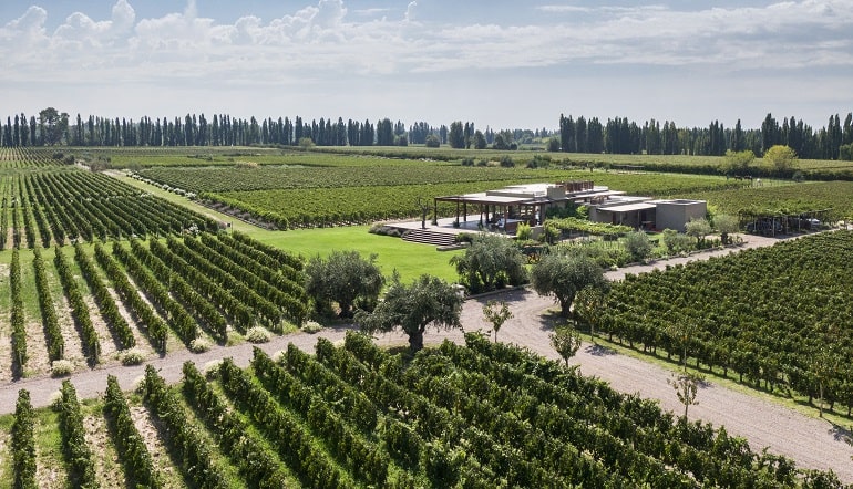 Visitar la Bodega Chaval des Andes en Las compuertas Mendoza. Disfruta desde nuestras casas exclusivas al pie de la montaña mendocina.